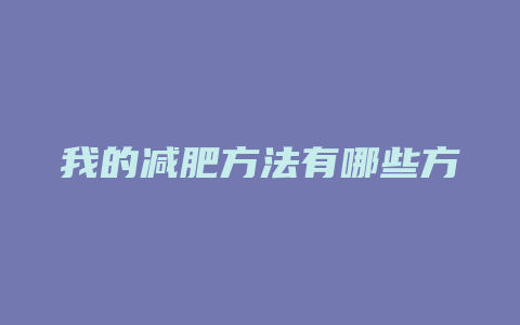 我的减肥方法有哪些方法是什么意思